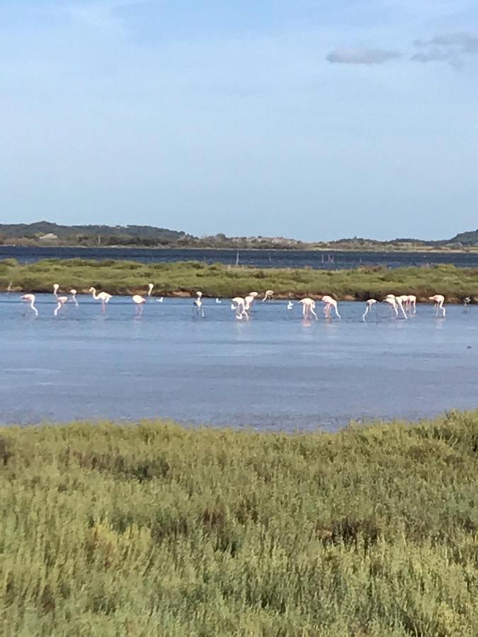 ホテル L Ostalada Roquefort-des-Corbières エクステリア 写真